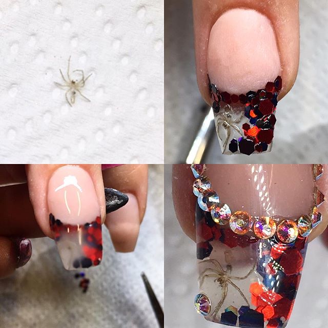 nail design with real spider